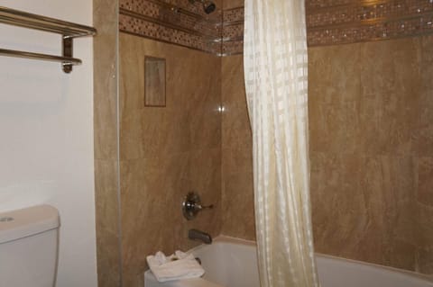 Combined shower/tub, free toiletries, hair dryer, towels