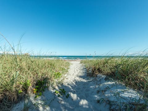 On the beach, sun loungers, beach umbrellas, beach towels