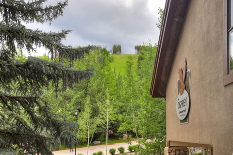 Room, 2 Queen Beds (Lodge) | Balcony view