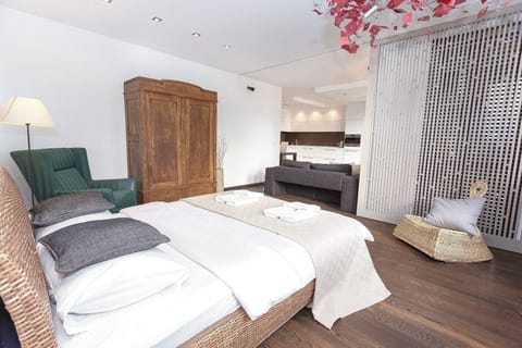 Apartment, Accessible, City View | 1 bedroom, soundproofing, iron/ironing board, free WiFi