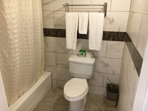 Combined shower/tub, towels