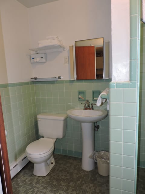 Standard Room, 1 King Bed | Bathroom | Free toiletries, hair dryer, towels