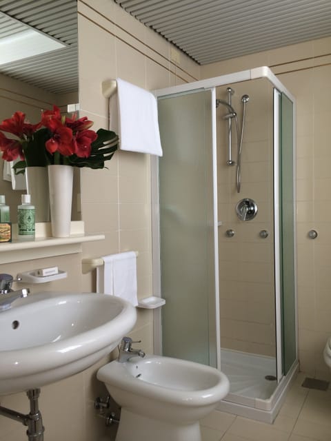 Executive Room | Bathroom | Shower, hair dryer, bidet, towels