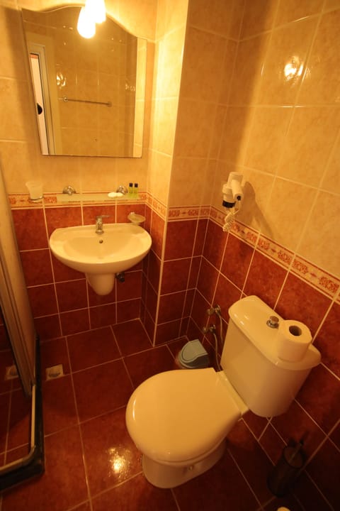 Standard Double or Twin Room | Bathroom | Shower, hair dryer, slippers