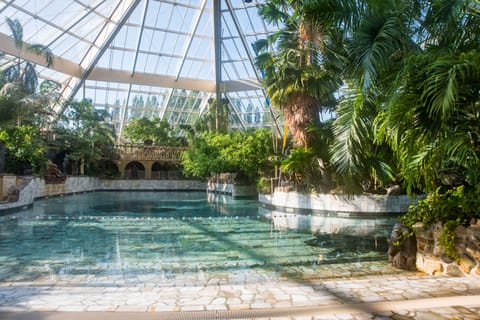 Indoor pool, outdoor pool, lifeguards on site