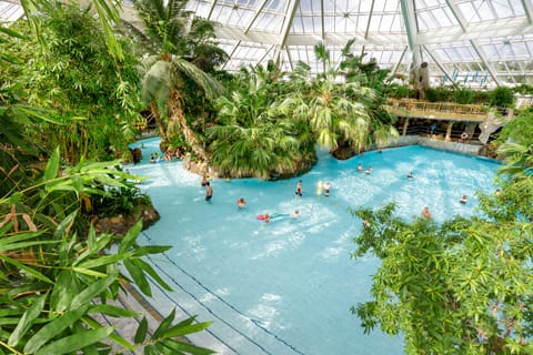 Indoor pool, outdoor pool, lifeguards on site