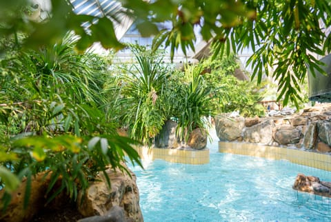 Indoor pool, outdoor pool