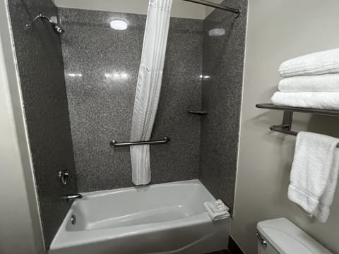 Combined shower/tub, free toiletries, hair dryer, towels