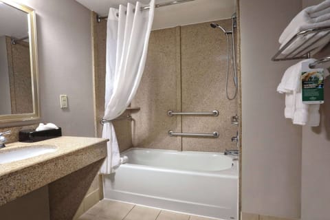 Combined shower/tub, free toiletries, hair dryer, towels