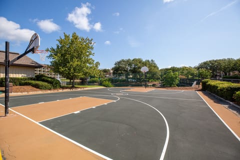 Basketball court