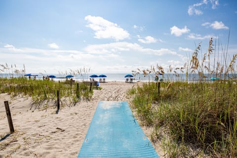 Beach nearby, fishing