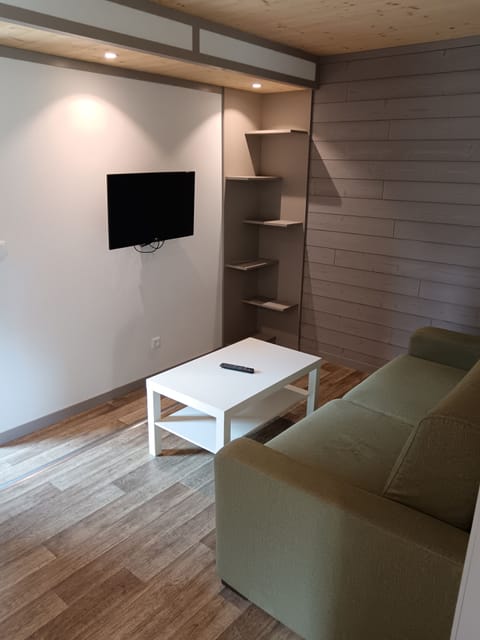 30-cm flat-screen TV with digital channels, TV