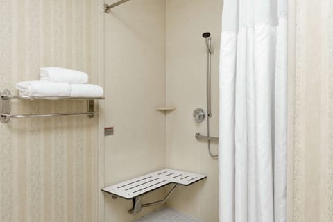 Room, Accessible | Bathroom shower