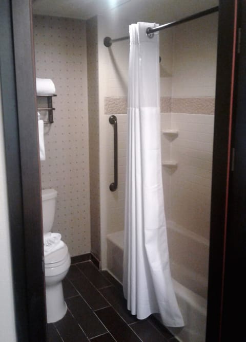 Combined shower/tub, free toiletries, hair dryer, towels