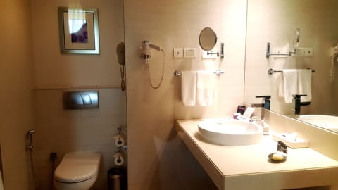 Deluxe Room | Bathroom | Free toiletries, hair dryer, bathrobes, slippers