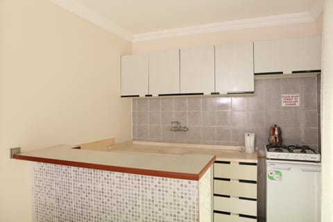 Standard Apartment, 2 Bedrooms | Private kitchen | Fridge, stovetop, electric kettle, cookware/dishes/utensils