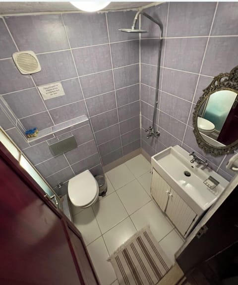 Standard Double Room | Bathroom | Shower, free toiletries, hair dryer, towels