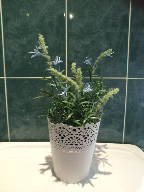 Egyptian cotton sheets, individually decorated, individually furnished