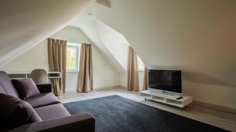 Standard Quadruple Room | Living area | TV