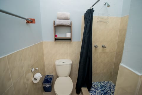 Family Room | Bathroom | Shower, free toiletries, towels, soap