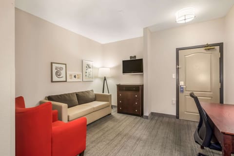 Suite, Multiple Beds, Non Smoking | Desk, blackout drapes, iron/ironing board, free WiFi