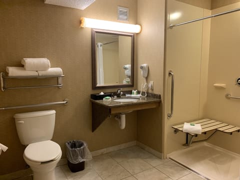 Standard Room, 1 King Bed, Accessible (Communications, Roll-In Shower) | Bathroom | Combined shower/tub, free toiletries, hair dryer, towels