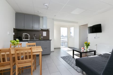 Apartment, 2 Bedrooms | Private kitchen | Fridge, microwave, electric kettle