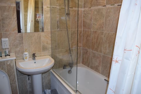 Deluxe Suite | Bathroom | Free toiletries, hair dryer, towels