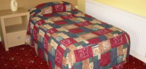 Standard Single Room, 1 Twin Bed | Desk, iron/ironing board, free WiFi