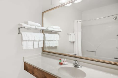 Combined shower/tub, eco-friendly toiletries, hair dryer, towels