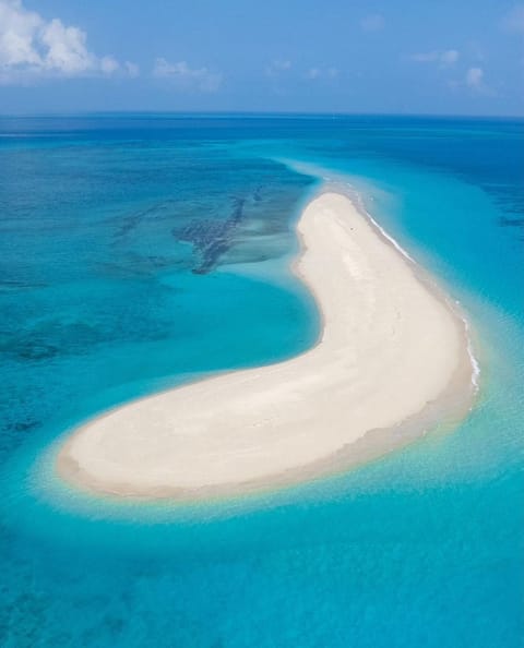 On the beach, sun loungers, beach umbrellas, beach towels