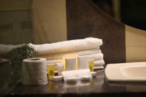 Family Suite | Bathroom | Shower, rainfall showerhead, free toiletries, bathrobes