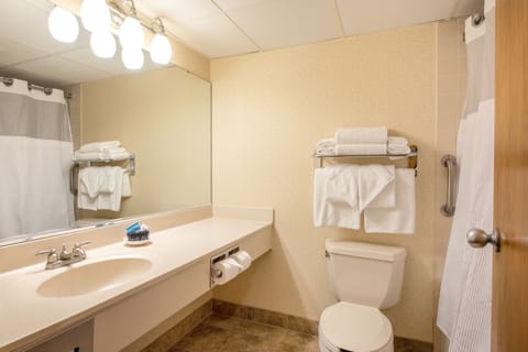 Combined shower/tub, free toiletries, hair dryer, towels