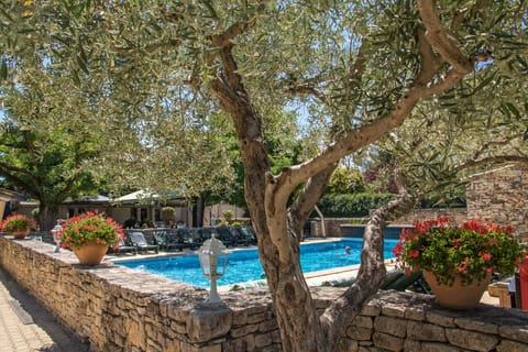 Outdoor pool, pool umbrellas, sun loungers