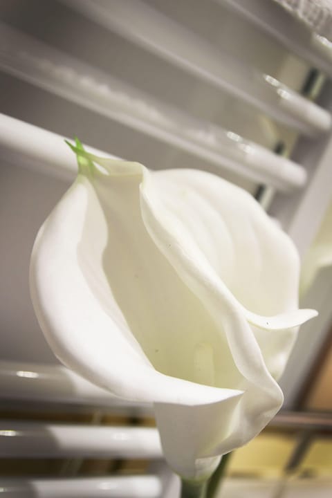 Standard Double Room (Grigia) | Room amenity