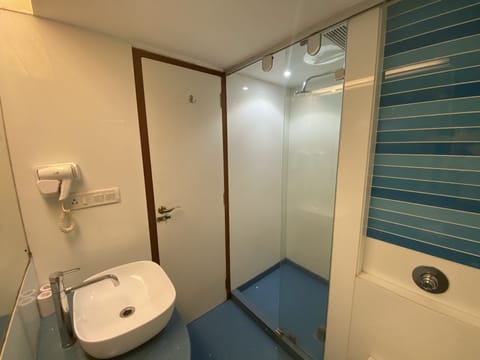 Executive Double Room | Bathroom | Free toiletries, hair dryer, bidet, towels