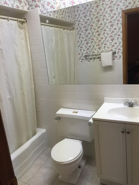 Combined shower/tub, towels