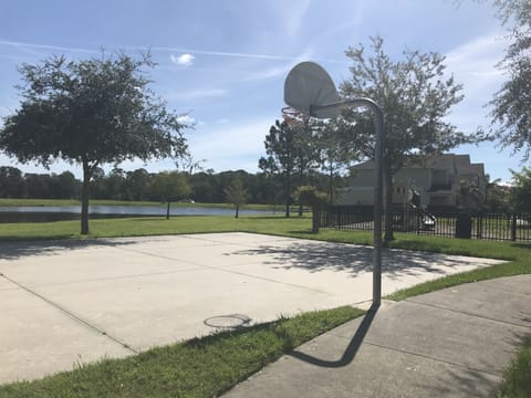 Basketball court