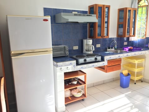 Family Studio, Non Smoking, Private Bathroom | Private kitchen | Fridge, cleaning supplies