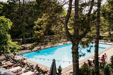 Seasonal outdoor pool, sun loungers