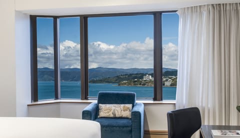 Premium Room, 1 King Bed, Harbor View | View from room