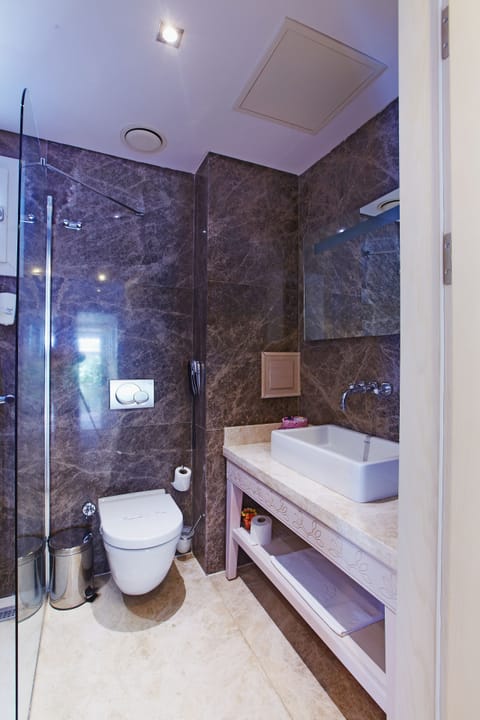 Shower, free toiletries, hair dryer, slippers