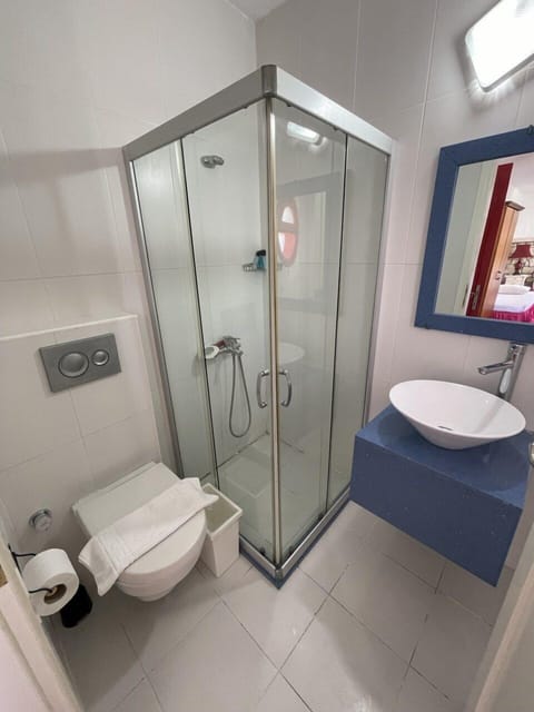 Deluxe Triple Room | Bathroom | Shower, free toiletries, hair dryer, slippers