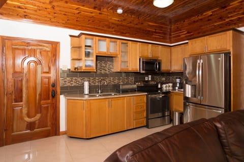 Luxury Apartment, 2 Bedrooms, Balcony, City View | Private kitchen | Full-size fridge, microwave, oven, stovetop