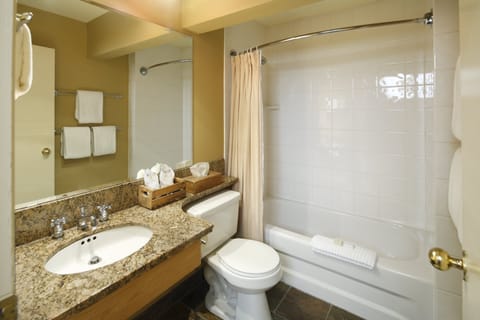 Combined shower/tub, eco-friendly toiletries, hair dryer, towels