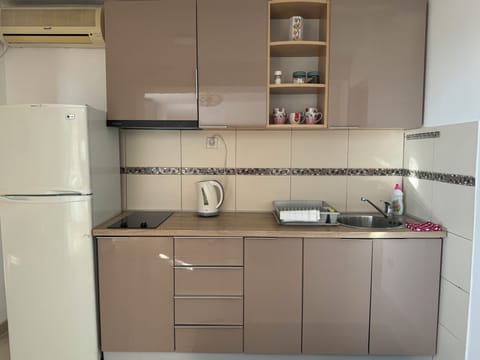 Family Apartment, 1 Bedroom, Balcony, Sea View | Private kitchen | Fridge, stovetop, coffee/tea maker, electric kettle