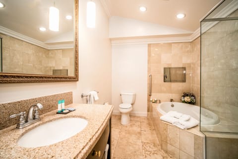 Jacuzzi Suite King Bed Room | Bathroom | Combined shower/tub, free toiletries, hair dryer, towels