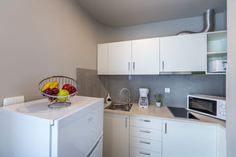 Studio Superior Apartment | Private kitchen | Fridge, electric kettle