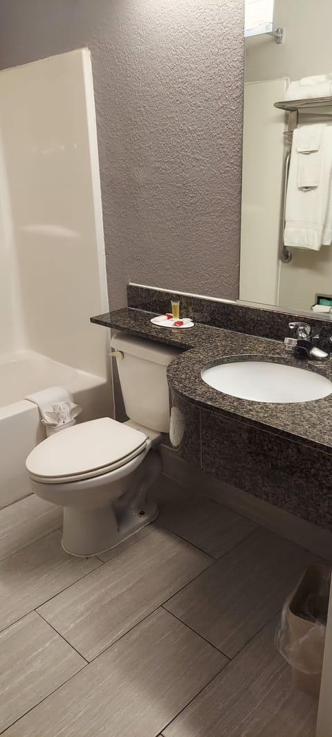 Combined shower/tub, free toiletries, hair dryer, towels