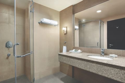 Deluxe Suite | Bathroom | Shower, rainfall showerhead, free toiletries, hair dryer